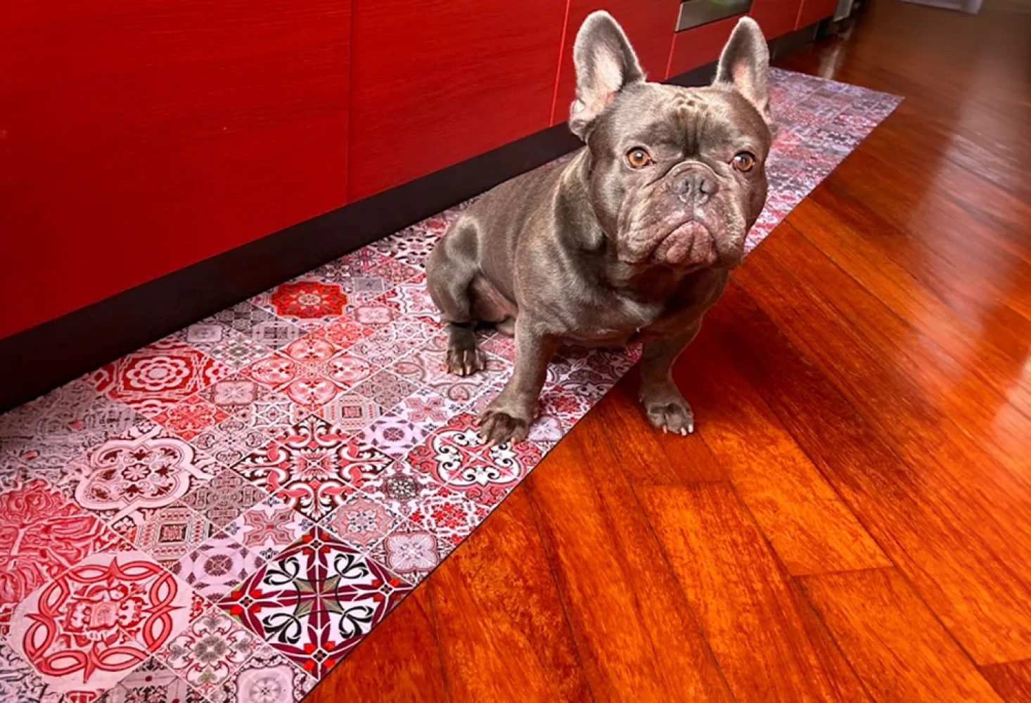 alfombra de cocina de vinilo