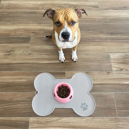 tappeto-cane-ciotola.jpg